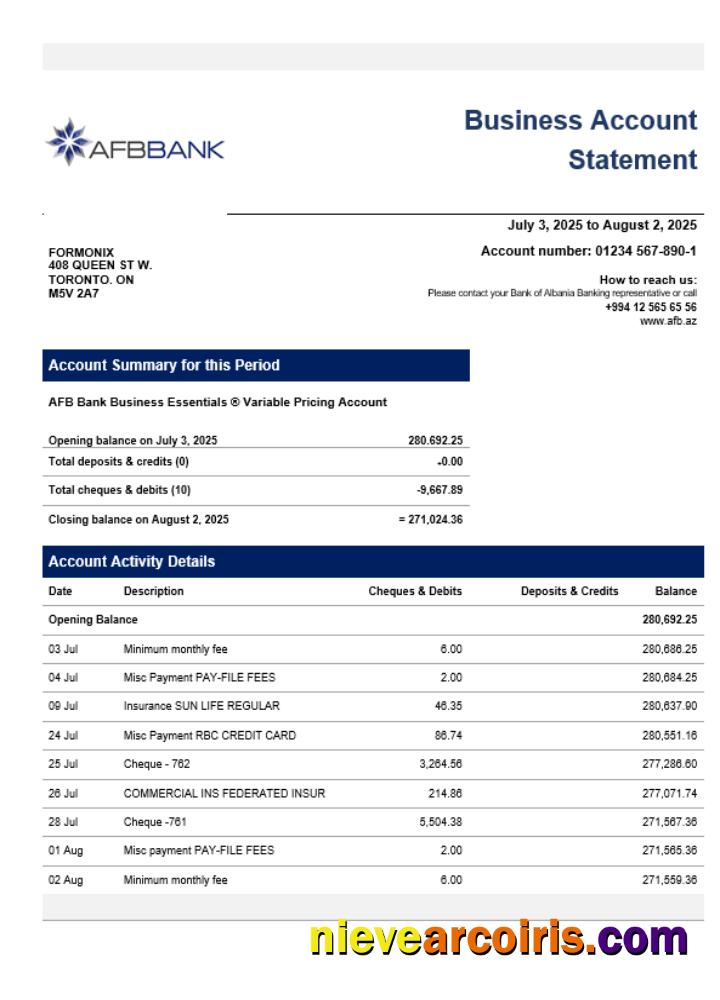 AFB business firm account bank statement